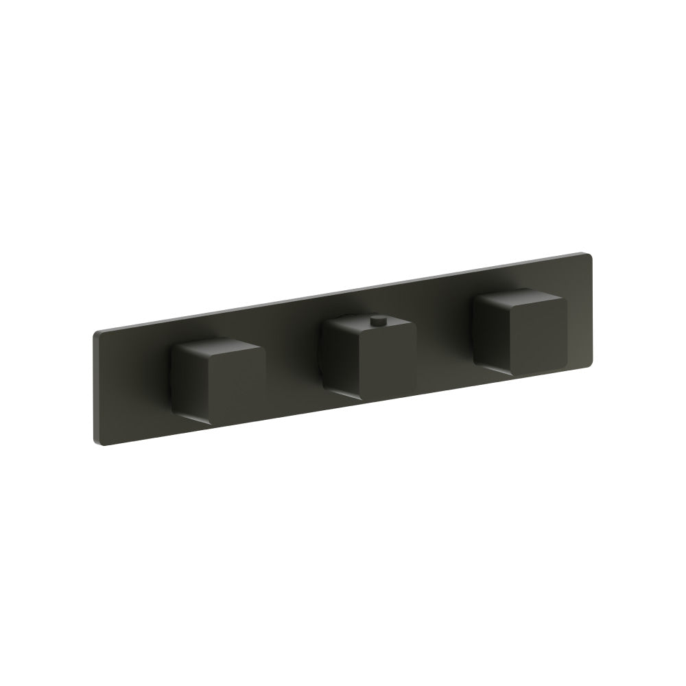 Trim For Horizontal Thermostatic Valve with 2 Volume Controls