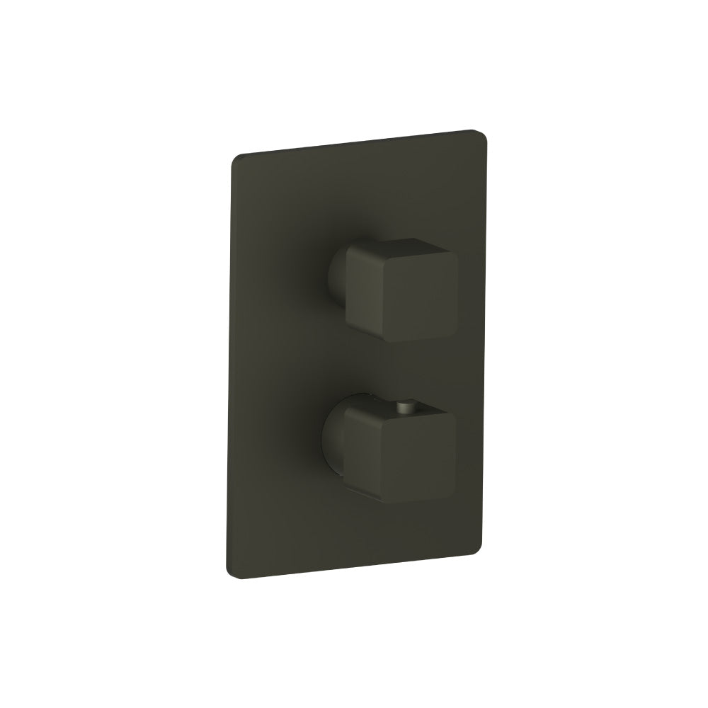 Trim For Thermostatic Valve