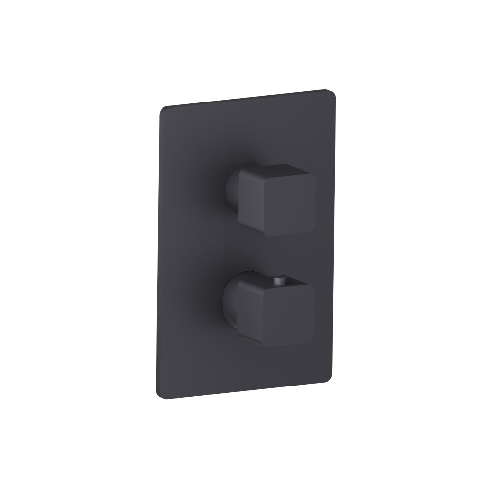 Trim For Thermostatic Valve