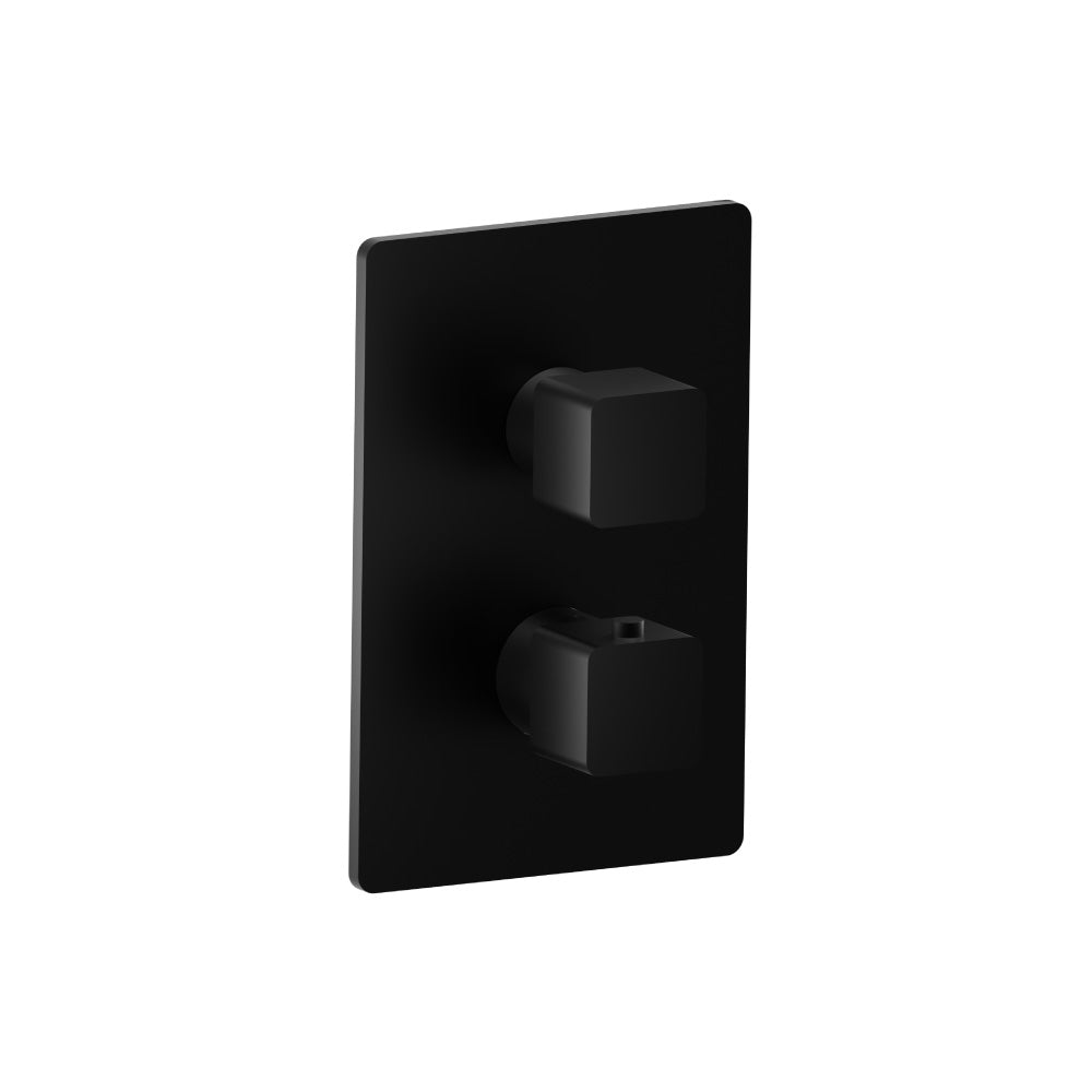 Trim For Thermostatic Valve