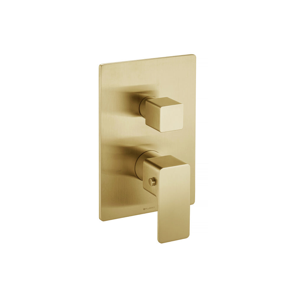 3/4 " Thermostatic Valve & Trim - With 2-Way Diverter - 2 Output