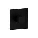 3/4" Thermostatic Valve With Trim