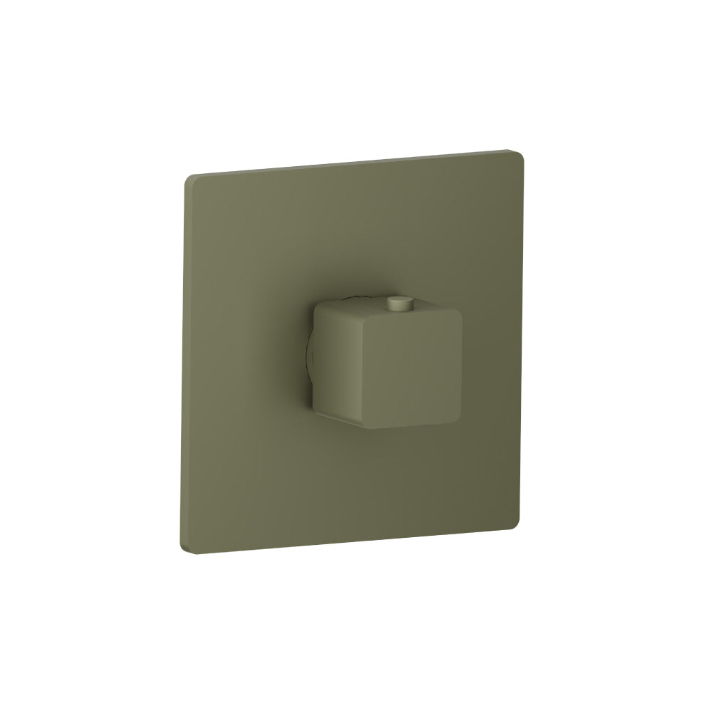 Trim For 3/4" Thermostatic Valve - Use with TVH.4201
