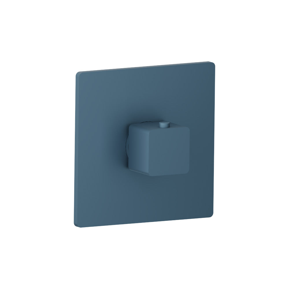 Trim For 3/4" Thermostatic Valve - Use with TVH.4201