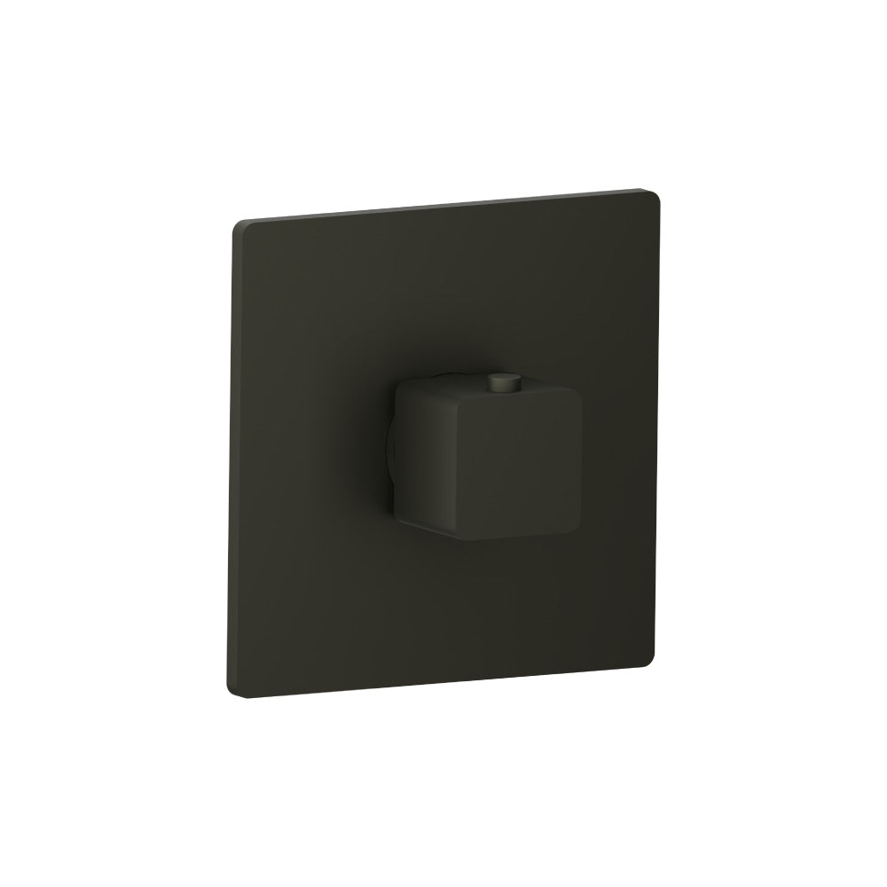 Trim For 3/4" Thermostatic Valve - Use with TVH.4201