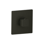 Trim For 3/4" Thermostatic Valve - Use with TVH.4201