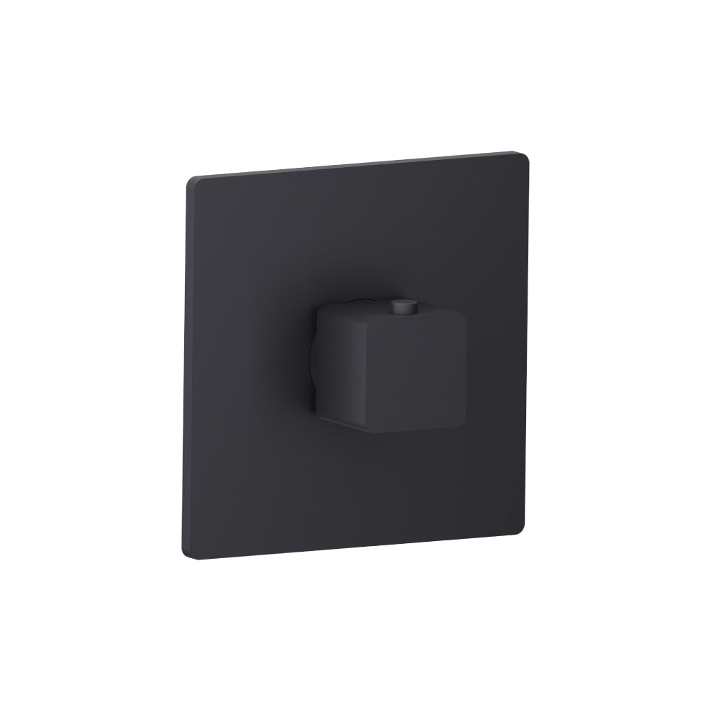 Trim For 3/4" Thermostatic Valve - Use with TVH.4201