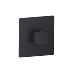 Trim For 3/4" Thermostatic Valve - Use with TVH.4201