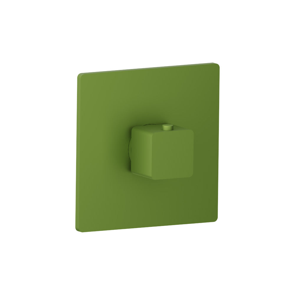 Trim For 3/4" Thermostatic Valve - Use with TVH.4201