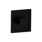 Trim For 3/4" Thermostatic Valve - Use with TVH.4201