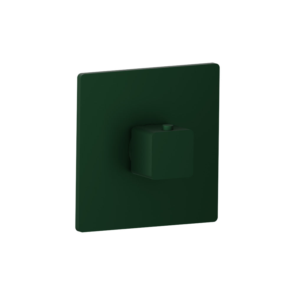 Trim For 3/4" Thermostatic Valve - Use with TVH.4201