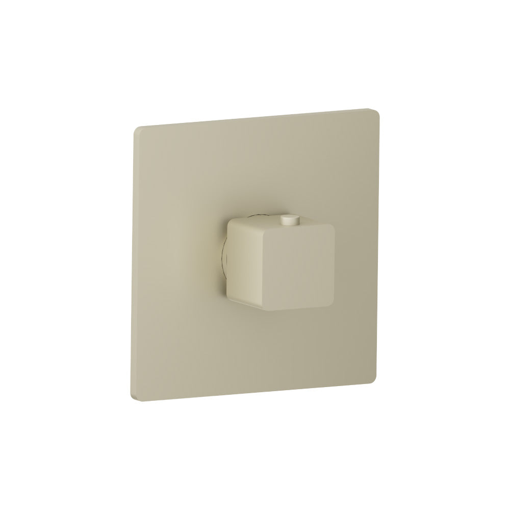 Trim For 3/4" Thermostatic Valve - Use with TVH.4201
