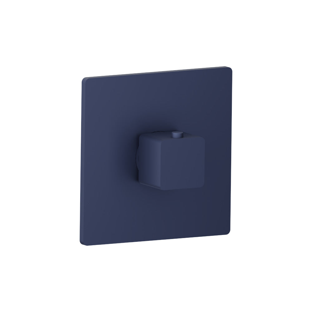 Trim For 3/4" Thermostatic Valve - Use with TVH.4201