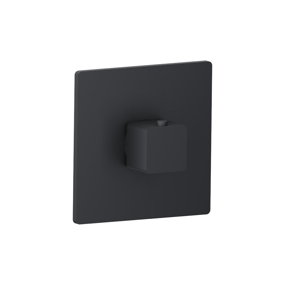 Trim For 3/4" Thermostatic Valve - Use with TVH.4201