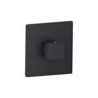 Trim For 3/4" Thermostatic Valve - Use with TVH.4201