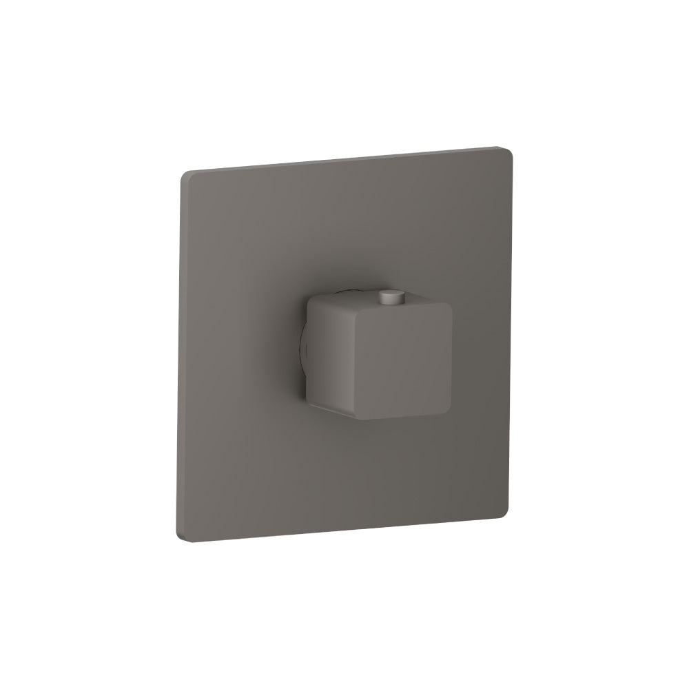Trim For 3/4" Thermostatic Valve - Use with TVH.4201