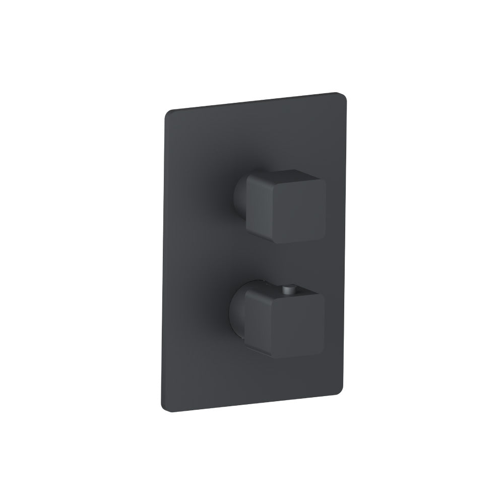 3/4" Thermostatic Valve & Trim - 3 Way Diverter - 3 Outputs