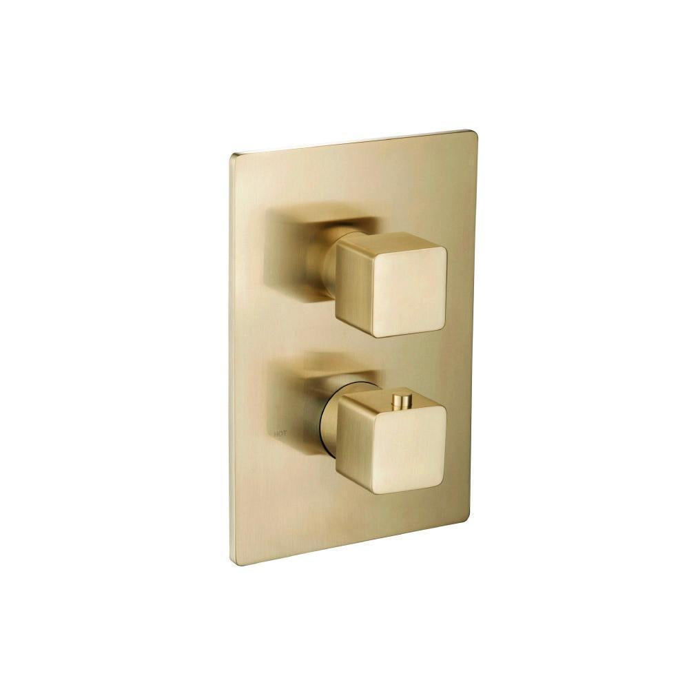 3/4" Thermostatic Valve & Trim - 3 Way Diverter - 3 Outputs