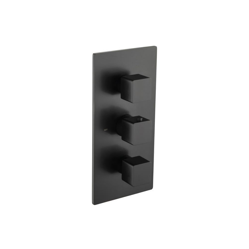 Trim For Thermostatic Valve