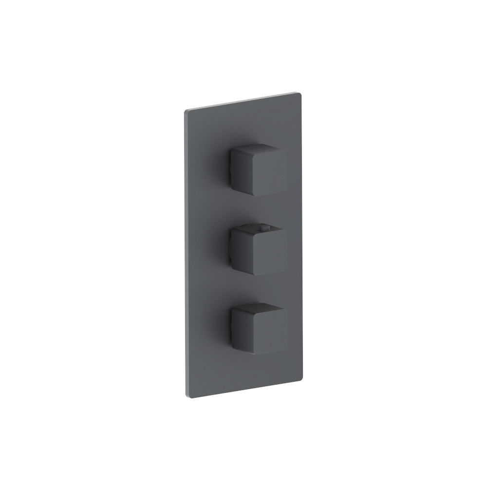 3/4" Thermostatic Valve With Trim - 3 Output