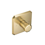 Trim For 3/4" Thermostatic Valve - Use with TVH.4201