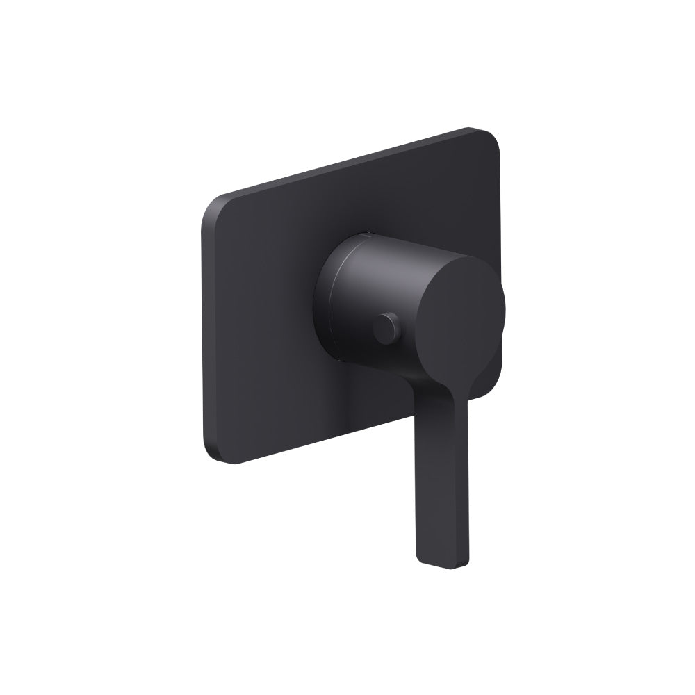 Trim For 3/4" Thermostatic Valve - Use with TVH.4201