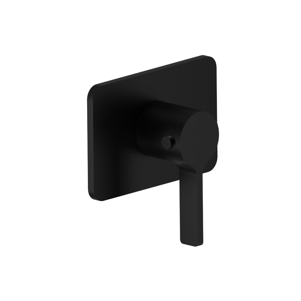 Trim For 3/4" Thermostatic Valve - Use with TVH.4201