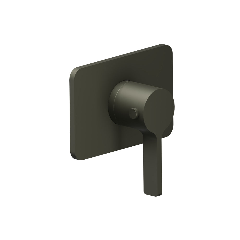 Trim For 3/4" Thermostatic Valve - Use with TVH.4201
