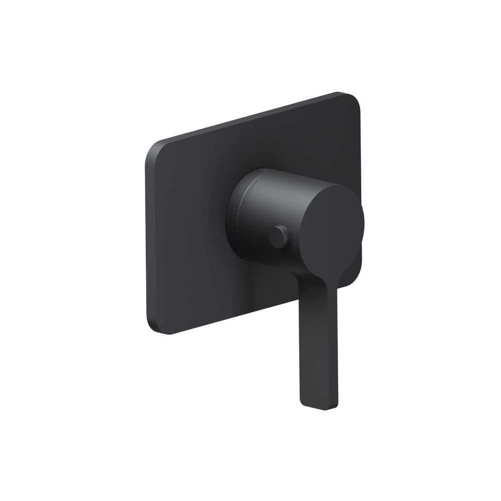 Trim For 3/4" Thermostatic Valve - Use with TVH.4201