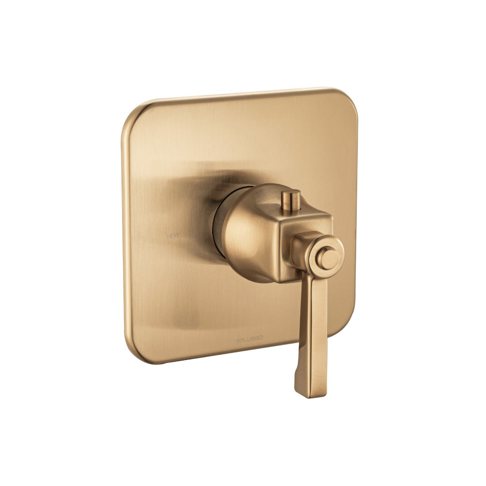 3/4" Thermostatic Valve With Trim