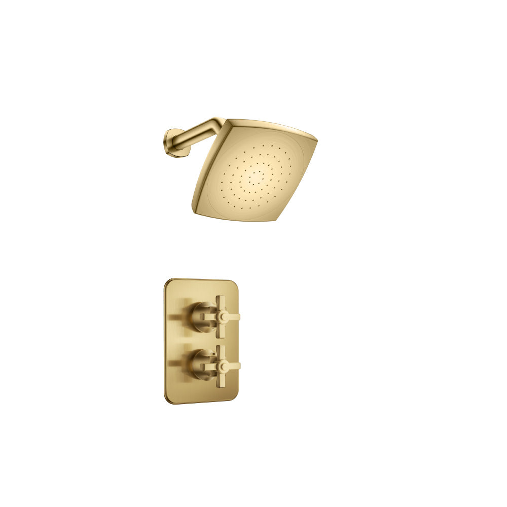 Single Output Shower Set With Shower Head And Arm