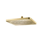 10" Solid Brass Showerhead / Rainhead