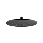 10" Solid Brass Showerhead / Rainhead