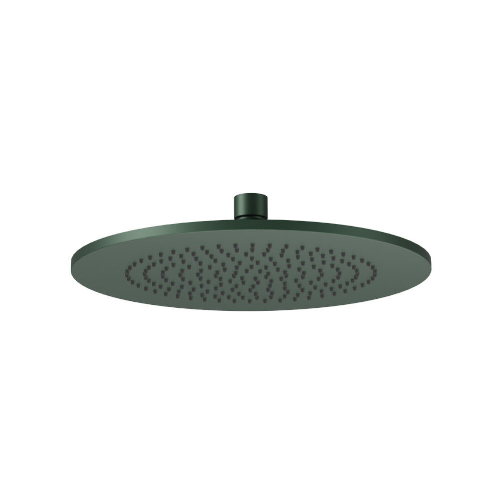 10" Solid Brass Showerhead / Rainhead