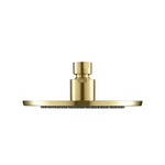6" Solid Brass Showerhead / Rainhead
