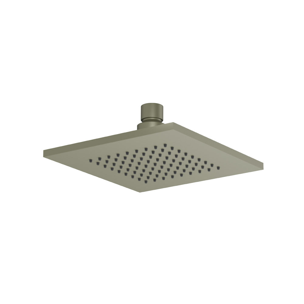 6" Solid Brass Showerhead / Rainhead