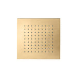 6" Solid Brass Showerhead / Rainhead