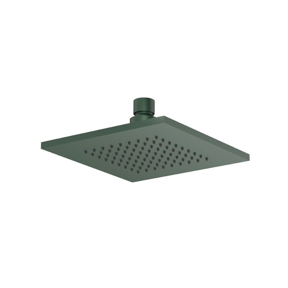 6" Solid Brass Showerhead / Rainhead