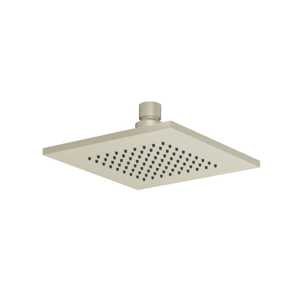 6" Solid Brass Showerhead / Rainhead