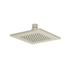 6" Solid Brass Showerhead / Rainhead