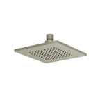 6" Solid Brass Showerhead / Rainhead