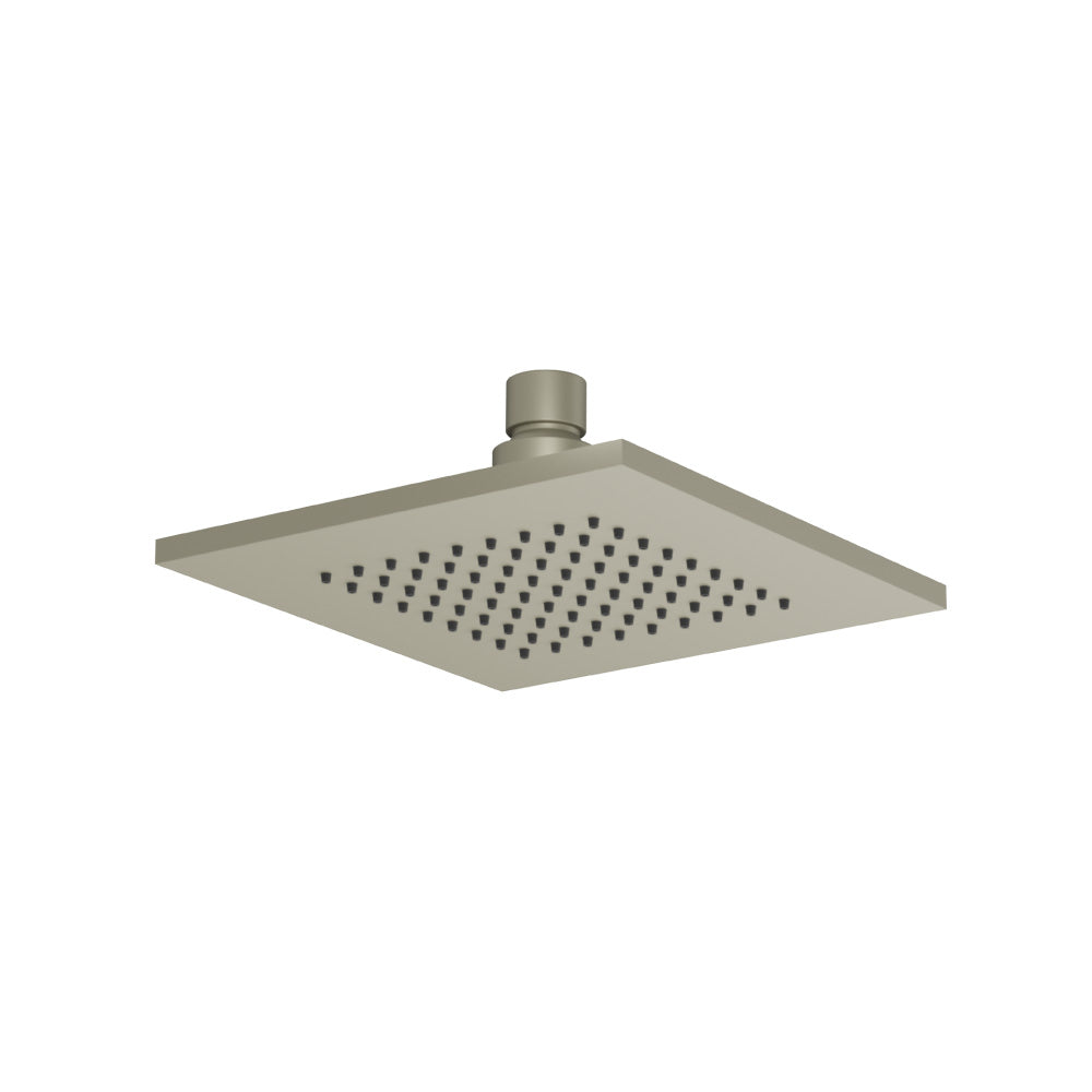 6" Solid Brass Showerhead / Rainhead