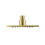 6" Solid Brass Showerhead / Rainhead