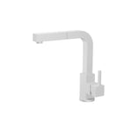 Deus - Dual Spray Stainless Steel Kitchen Faucet With Pull Out