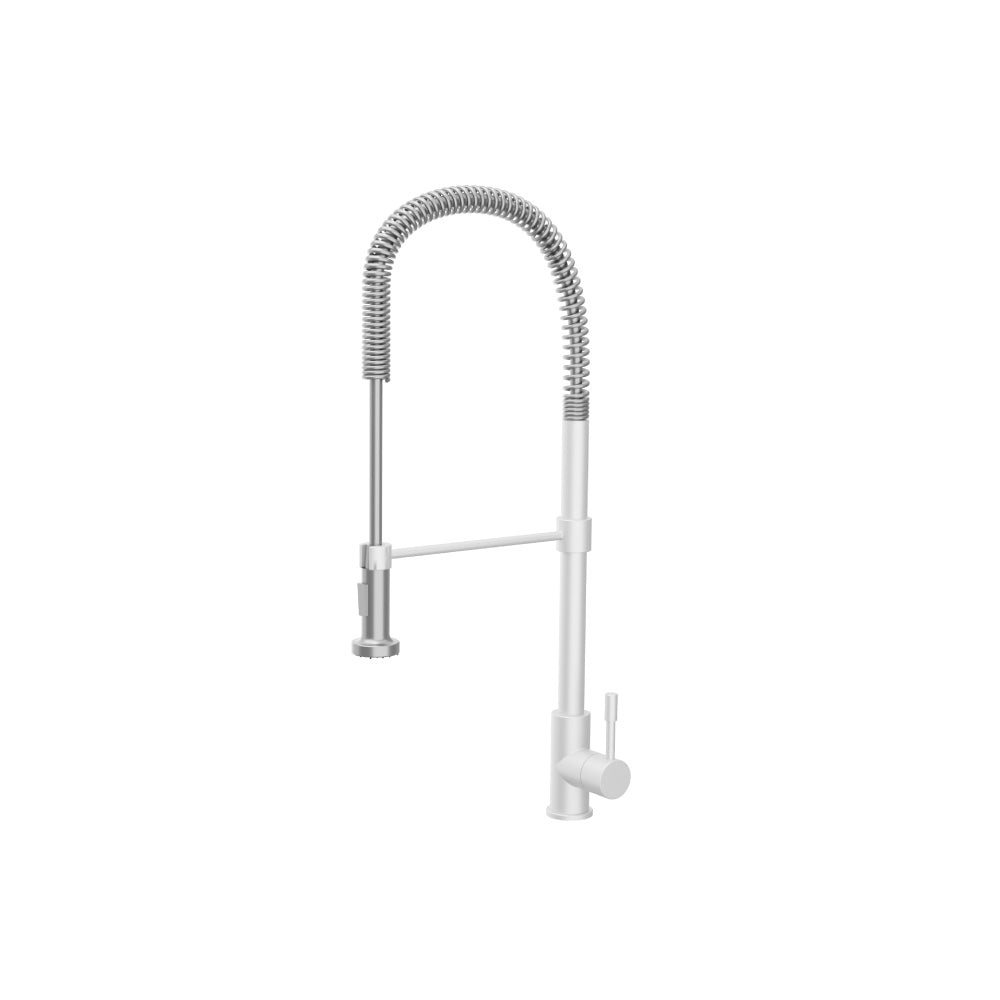 Professio - S - Dual Spray Professional Stainless Steel Kitchen Faucet With Pull Out