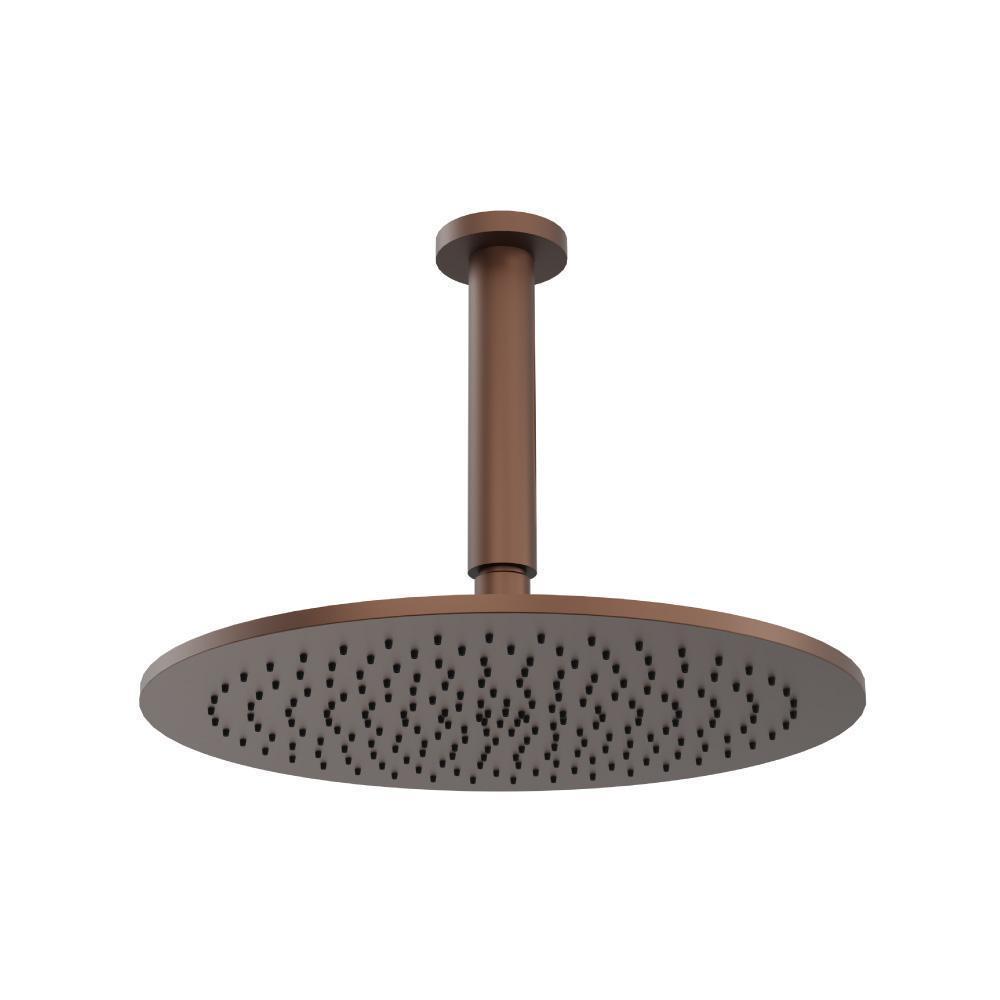 12" Rain Head with 6" Ceiling Mount Arm