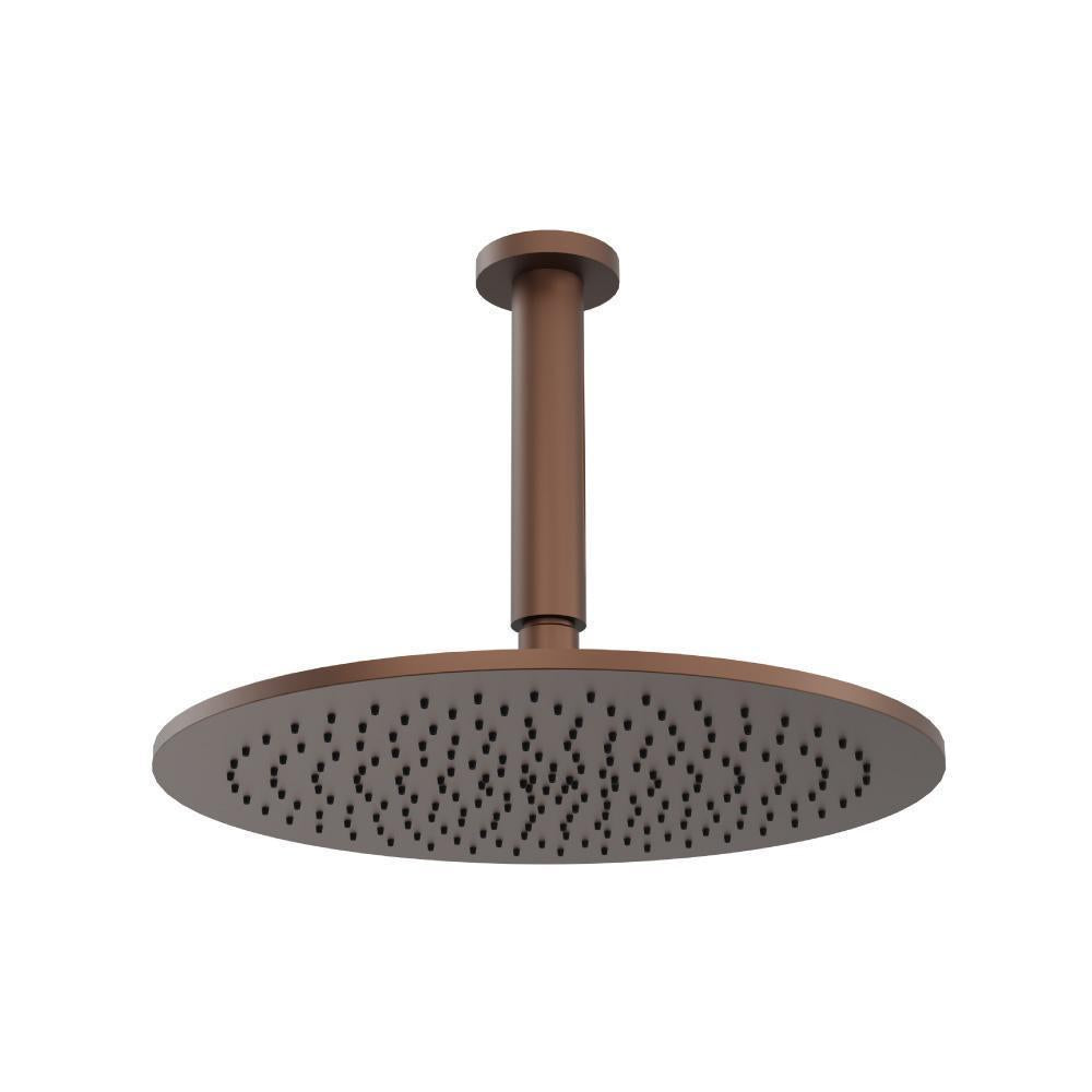 12" Rain Head with 6" Ceiling Mount Arm