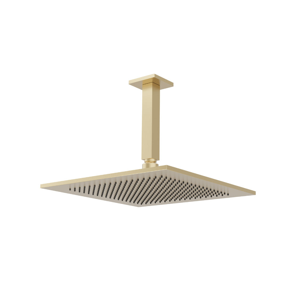 12" Rain Head with 6" Ceiling Mount Arm