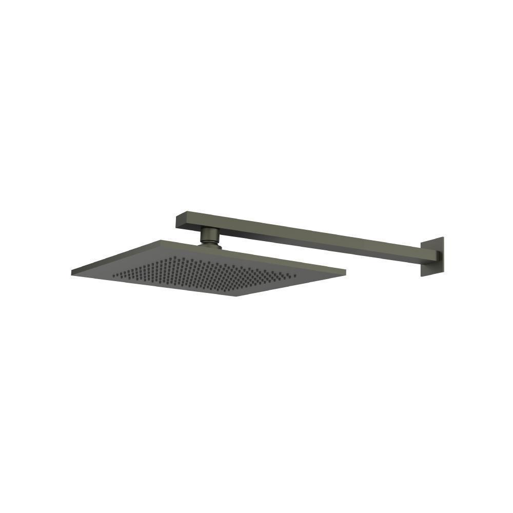 10" Rain Head with 15" Arm