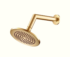 6" Rain Head with 7" Arm